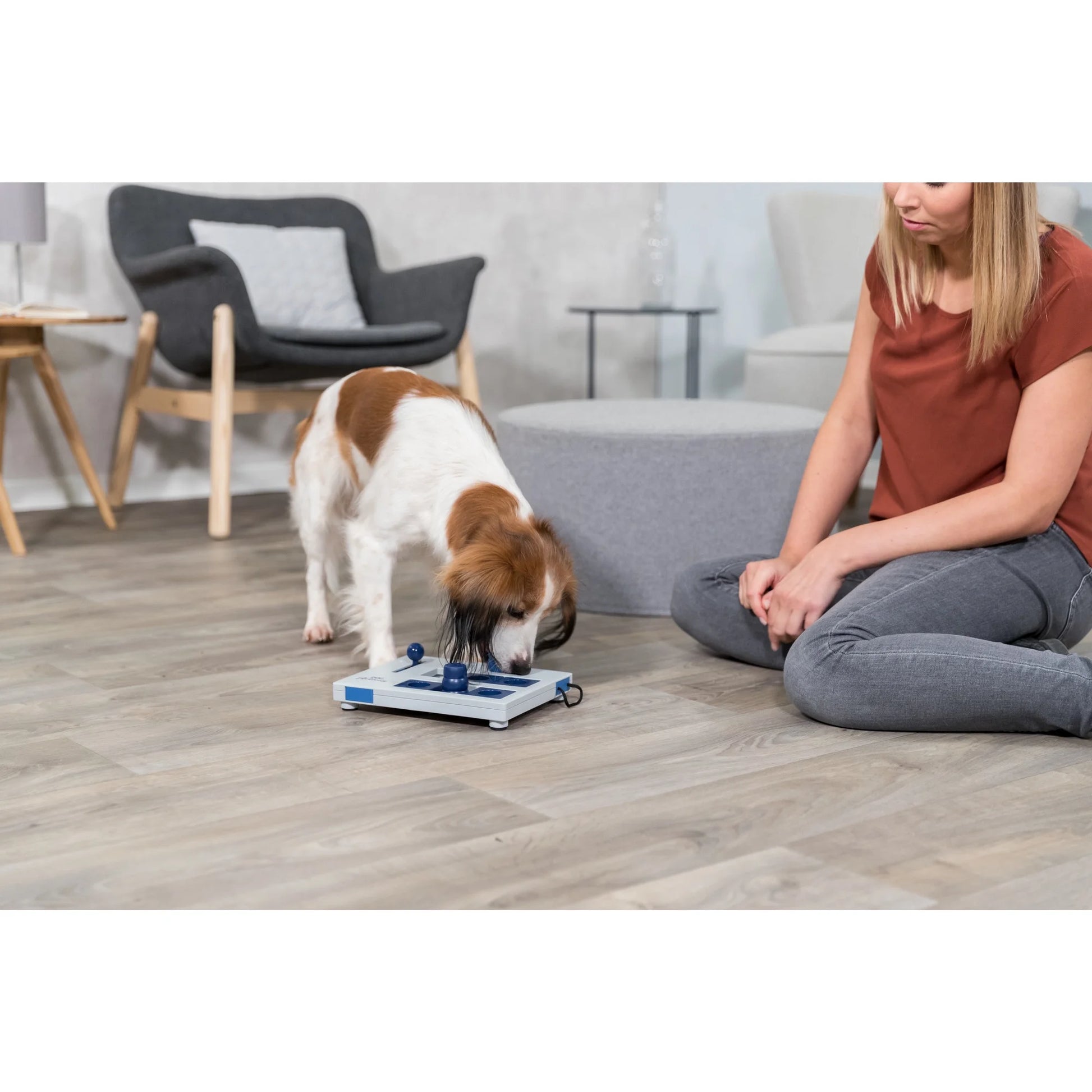 Dog Gambling Tower Strategy Game, Level 1, Beginner Dog Puzzle Toy, Treat Dispenser
